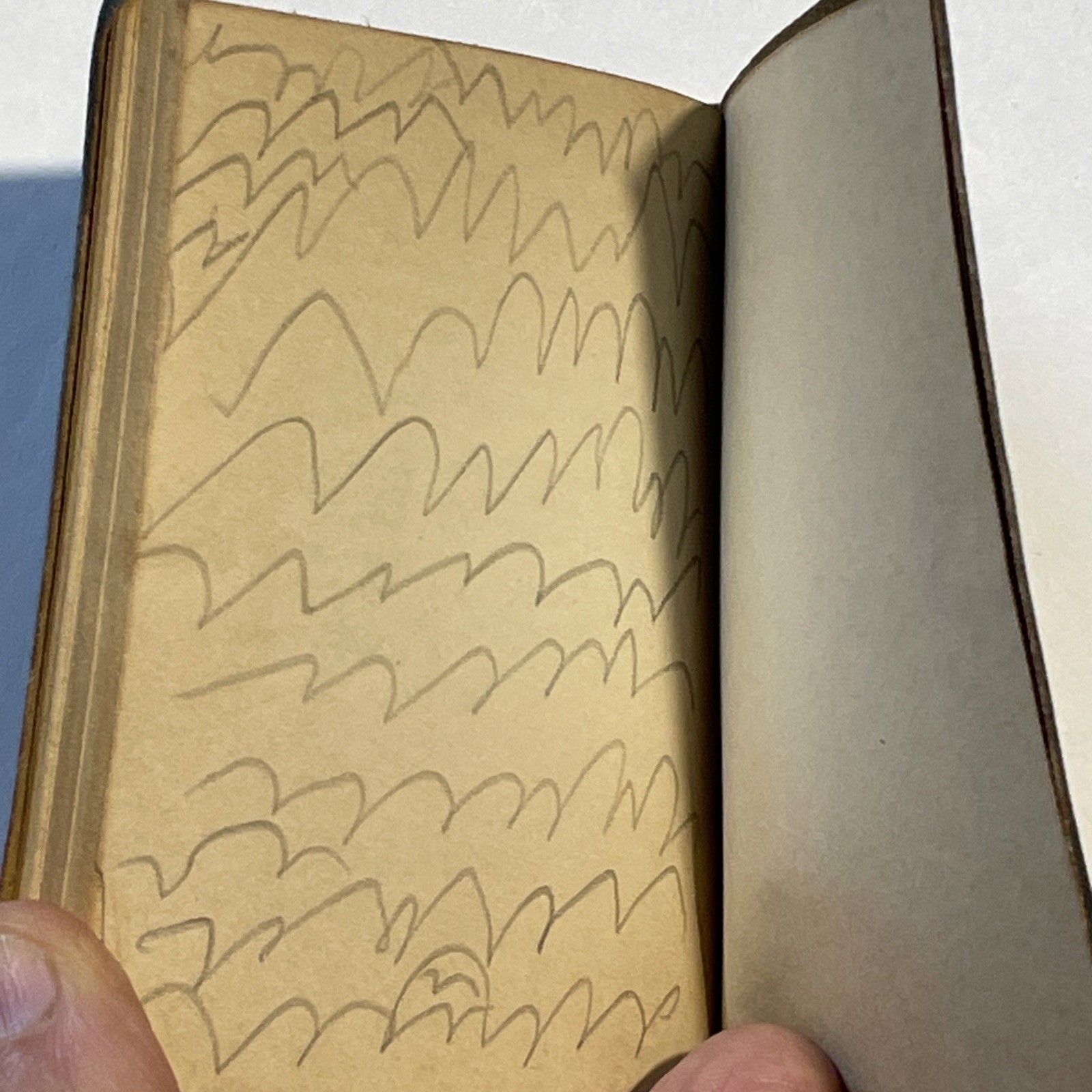 Little Leather Library DREAMS by OLIVE SCHREINER