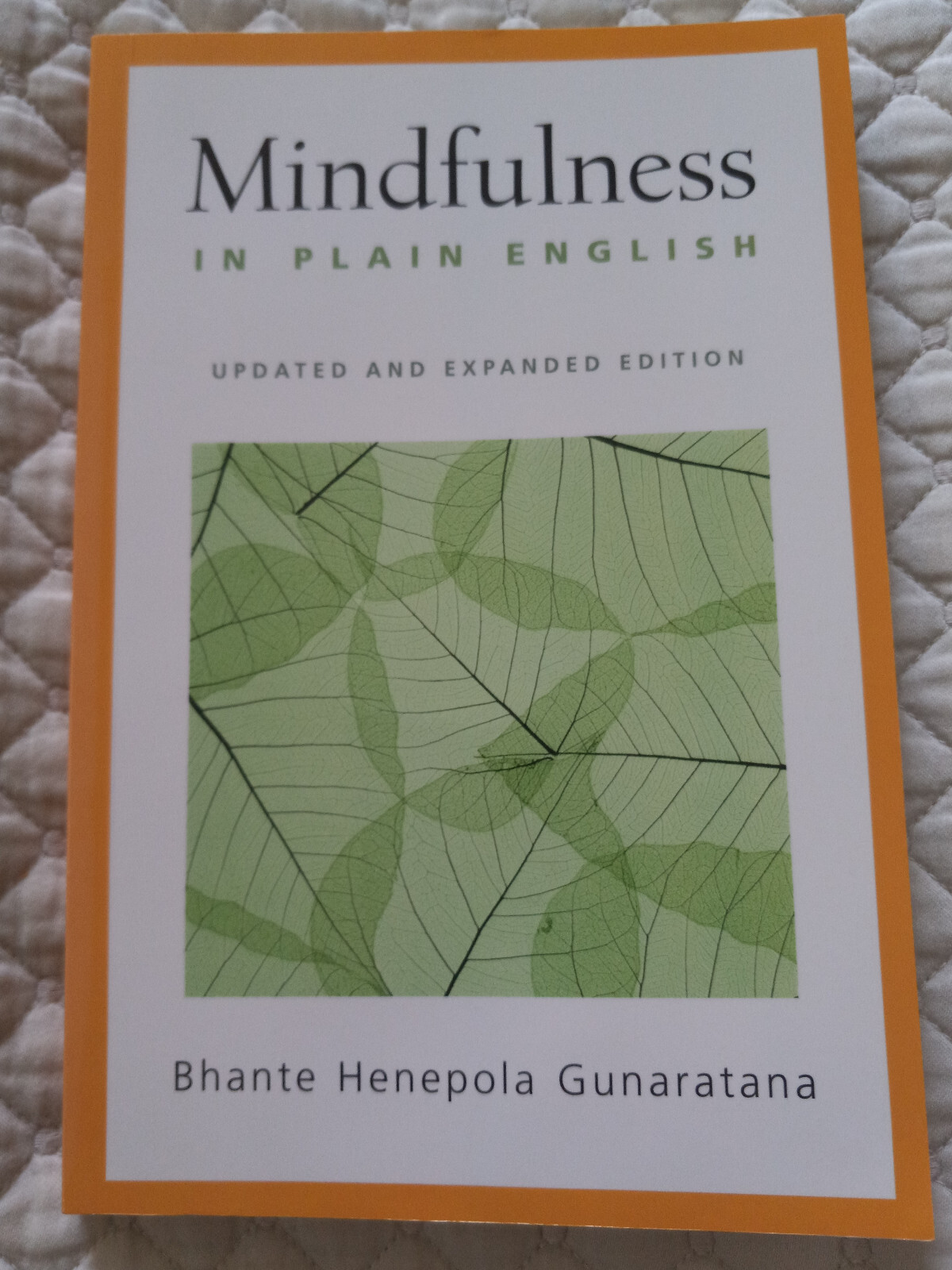 Mindfulness in Plain English by Bhante Henepola Gunaratana (1996) Paperback