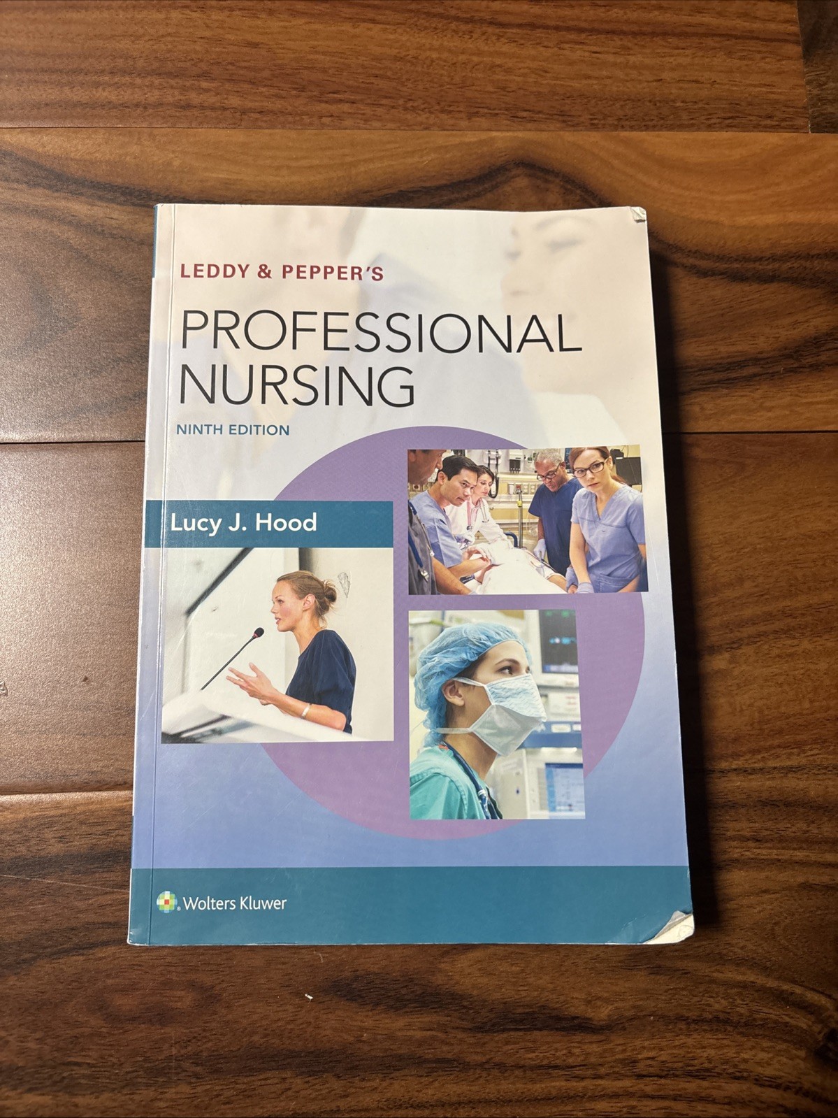 Leddy and Pepper’s Professional Nursing by Lucy Hood (2017, Trade Paperback)