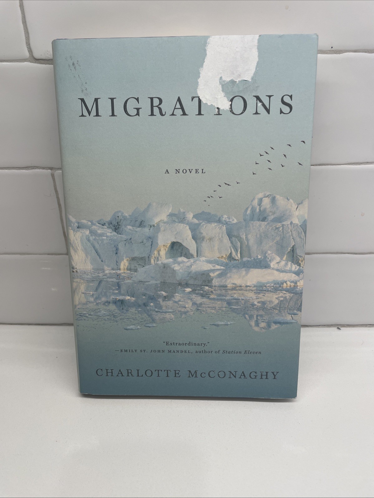 Migrations by Charlotte McConaghy Hardcover – First Edition First Printing