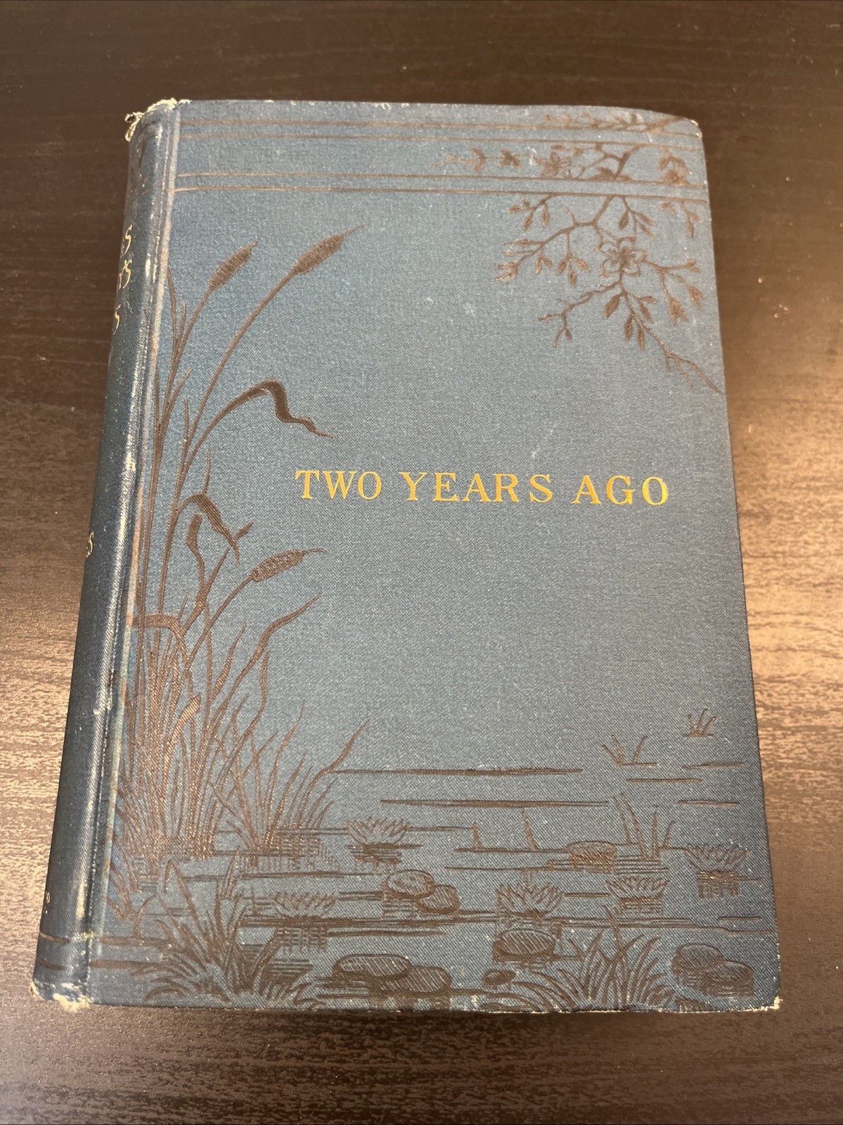 Two Years Ago Charles Kingsley New York : Macmillan And Co. 1885