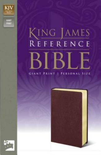 KJV, Reference Bible, Giant Print, Imitation Leather, Burgundy, Red Letter…