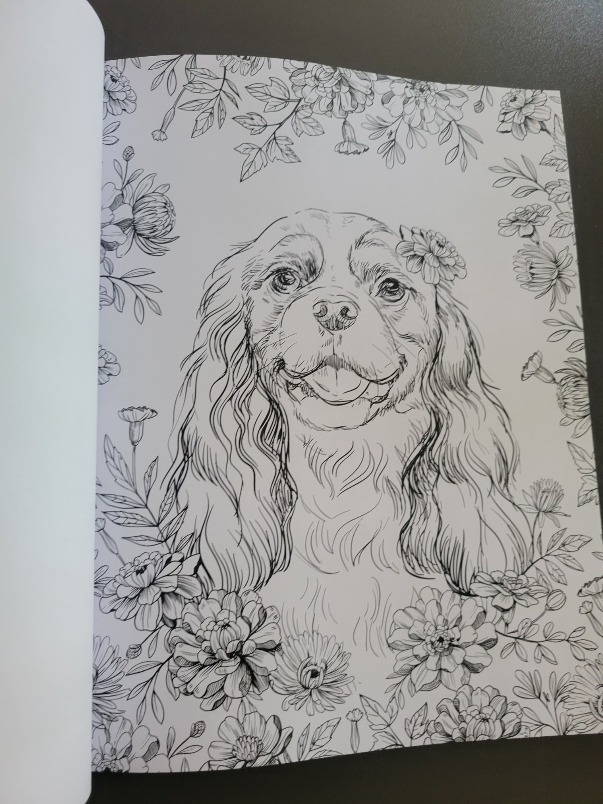 DOGS by Colouring Heaven – Adult Coloring Book – A Meditative Art Therapy Book