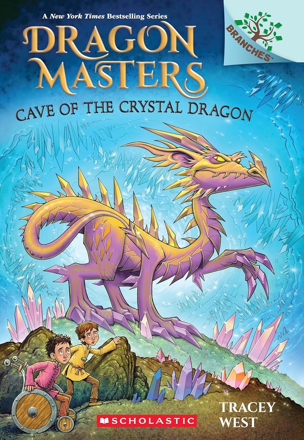 Dragon Masters 8 book Series Set Collection Books 21-28 by Tracey West Paperback