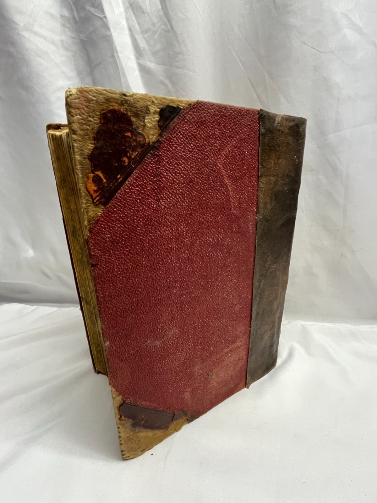 1913 Health and Longevity 15 Books In 1 Vol. Medical Body Illustration Guide