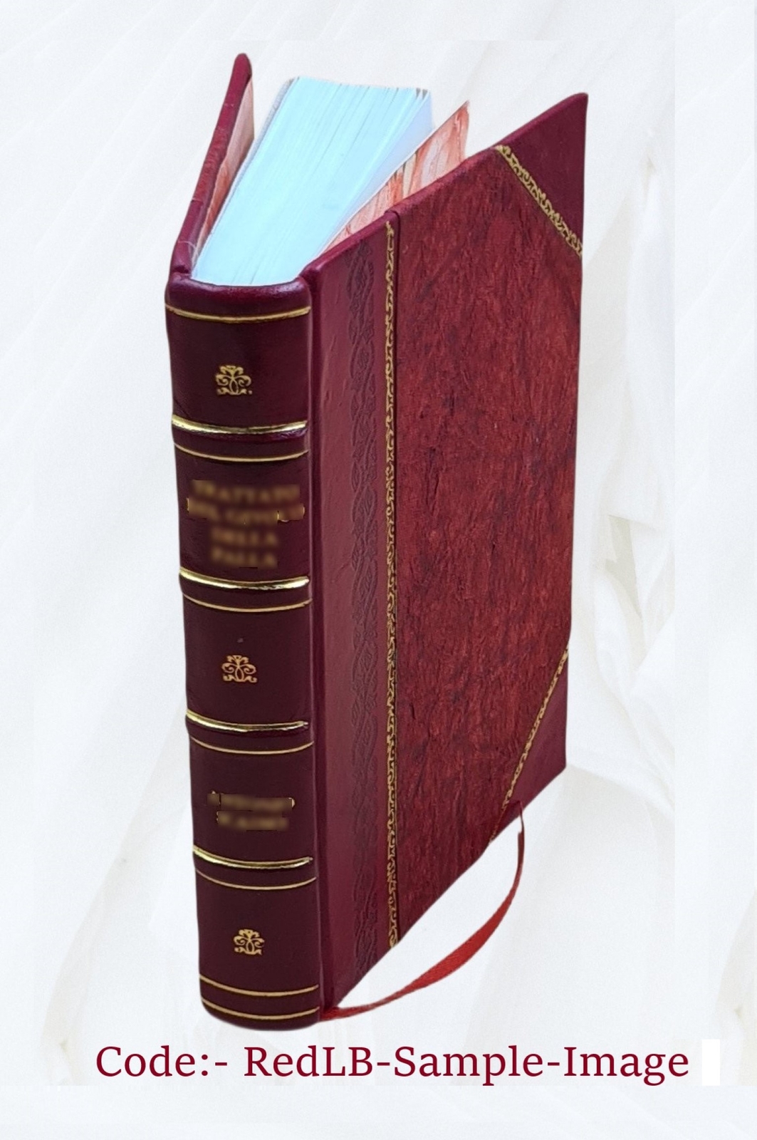 Demonology and devil-lore V. 1 1879 by Conway, Moncure Daniel,