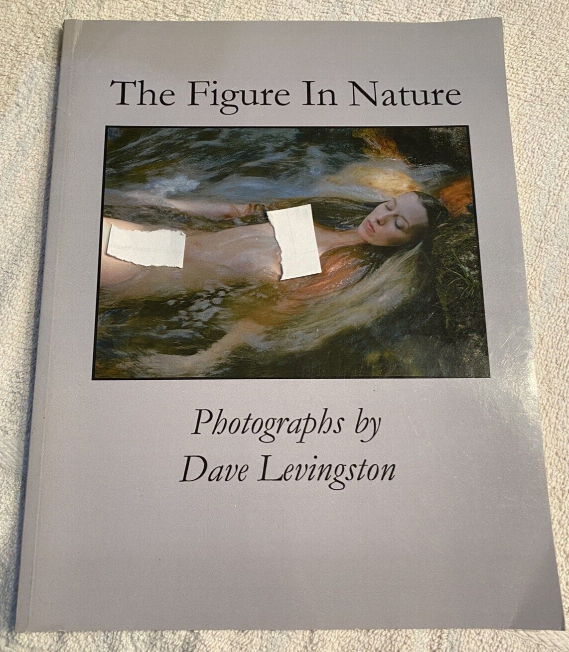 The Figure in Nature Dave Levingston Nude Photography book rare beautiful
