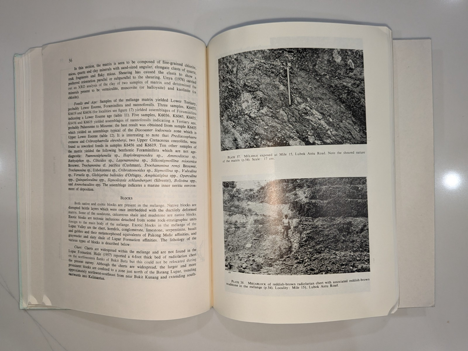 Lupar Valley West Sarawak Malaysia | Denis Tan | 1979 | Report 13 | 2 LARGE MAPS