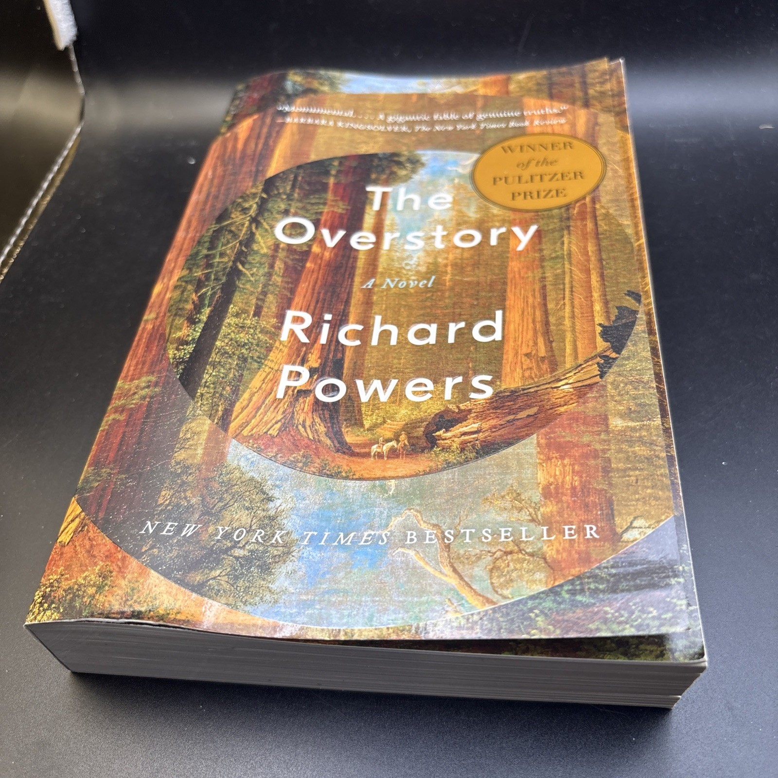The Overstory: A Novel – paperback **GOOD/ FAST SHIPPING 📦💨**