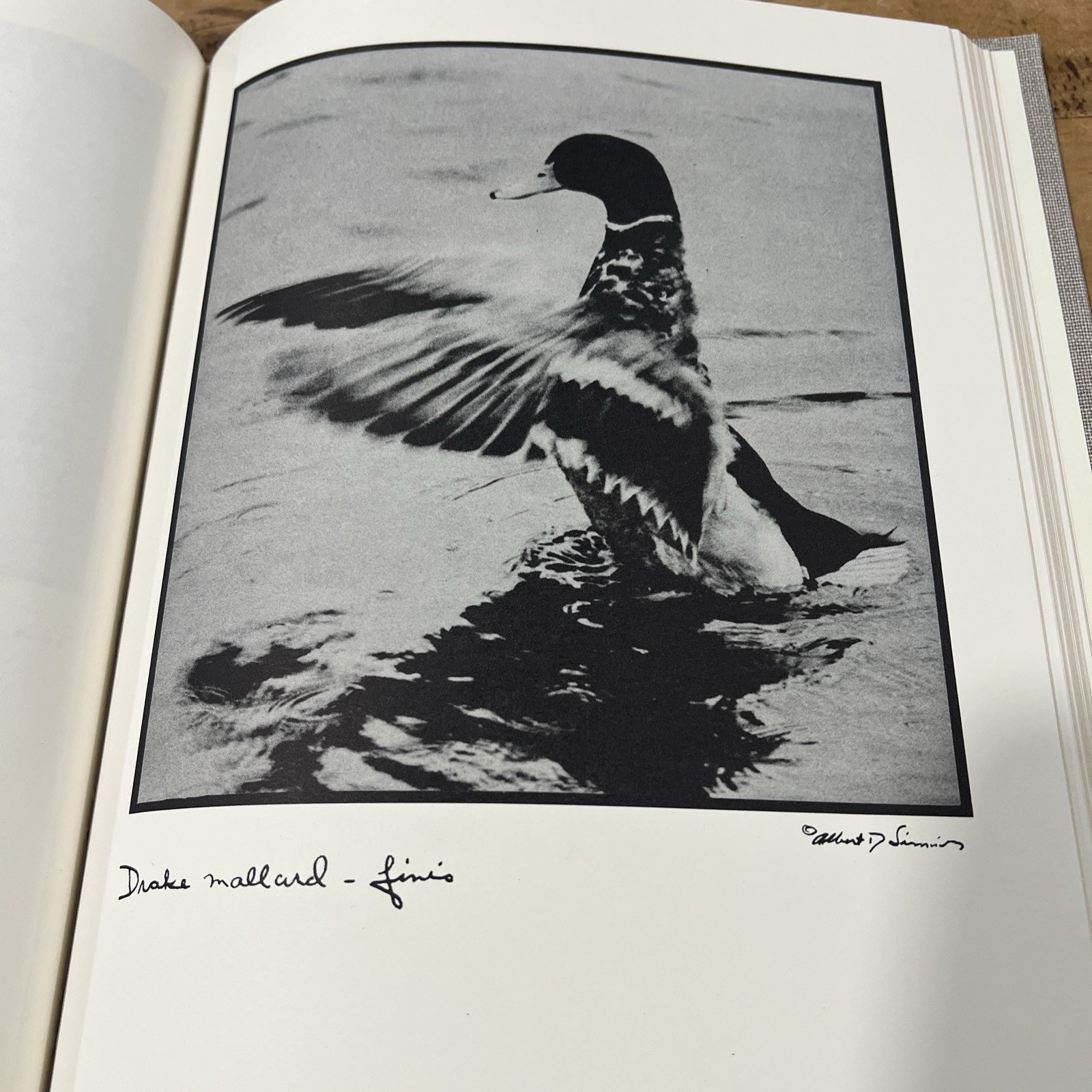 Hardback Wing Shots by Albert Dixon Simmons 1990 Ltd Ed Derrydale Press