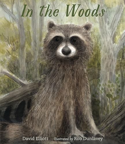 In the Woods – Hardcover By Elliott, David – GOOD