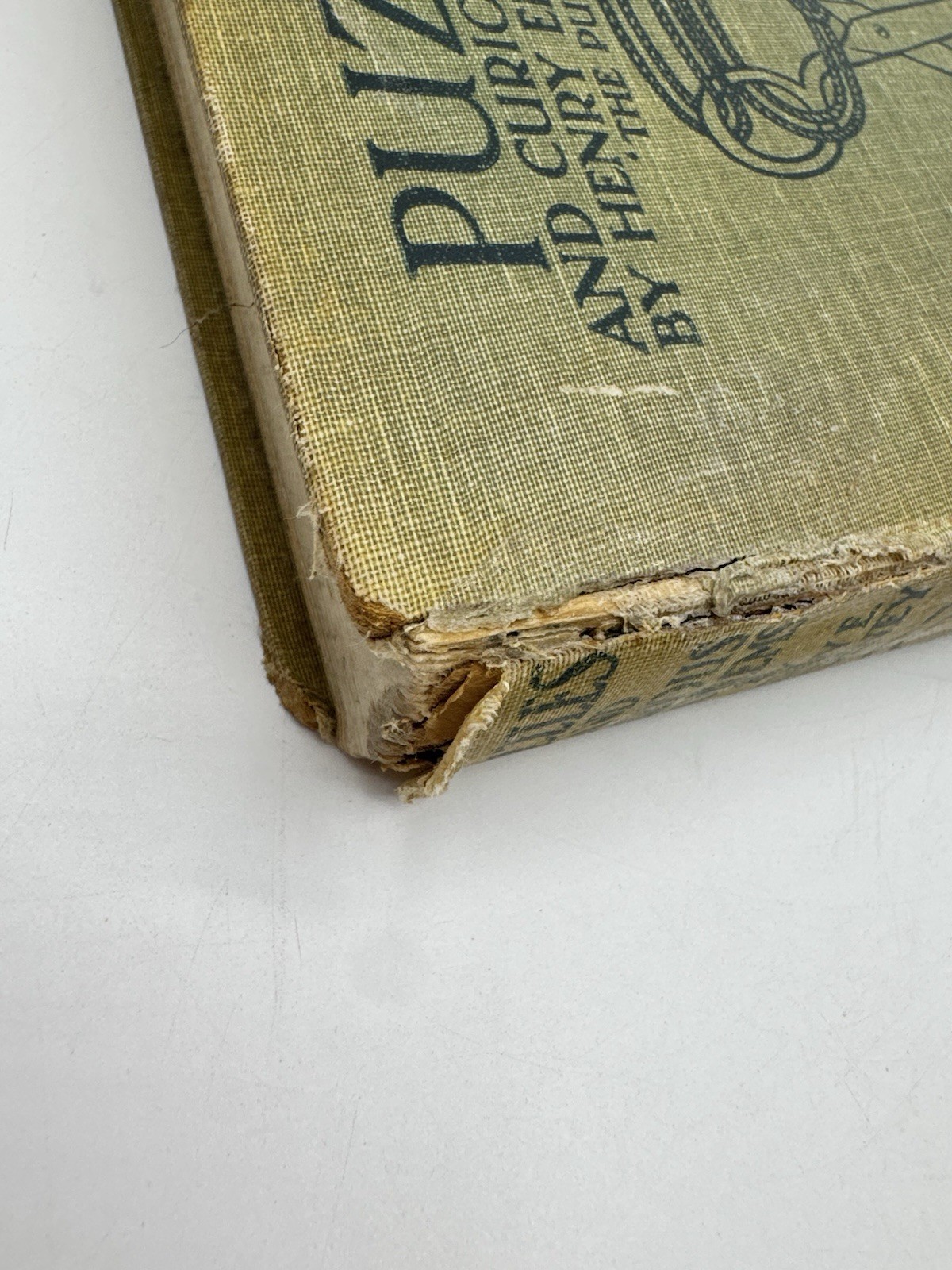 Puzzles and Curious Problems by Henry Ernest Dudeney HB Nelson 1931 Vintage