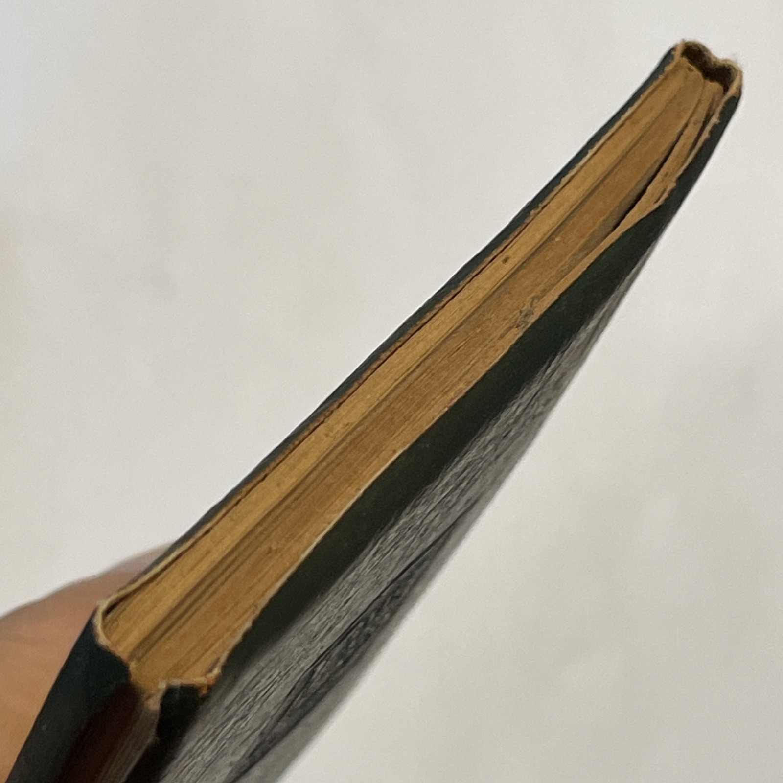 Little Leather Library DREAMS by OLIVE SCHREINER