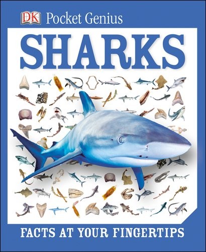 Pocket Genius: Sharks