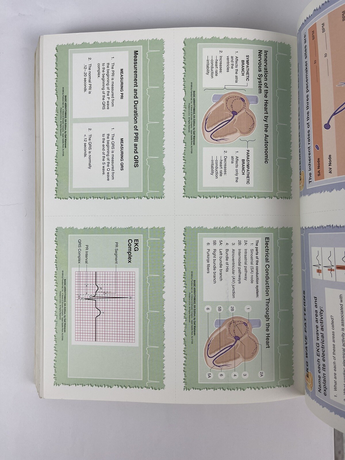 Basic Arrhythmias by Gail Walraven (1998, Trade Paperback) w/extras FREE SHIP