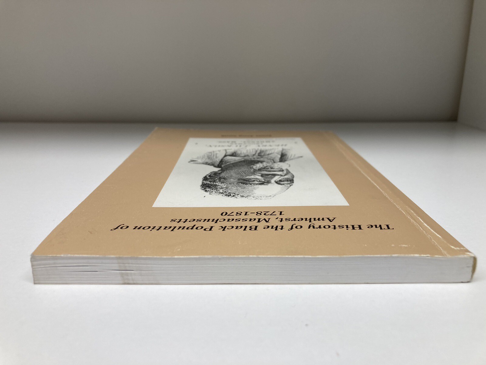 The History of the Black Population of Amherst, Massachusetts 1728-1870