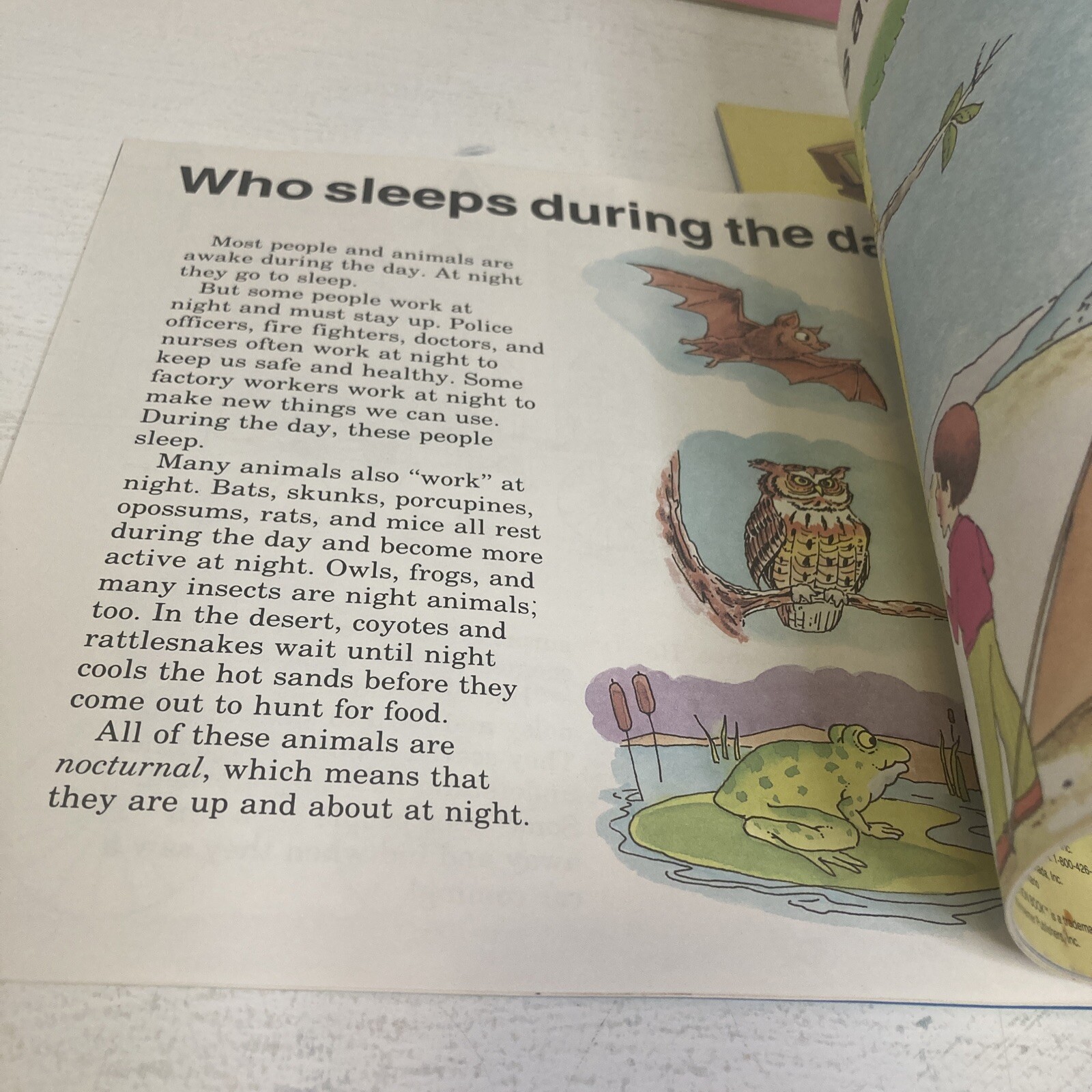Lot Of 5 Question Books From Discovery Toys Picture Books: What?, Who?, When?, H