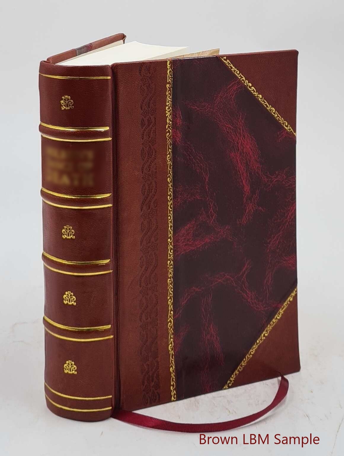 A treatise on equity jurisprudence, as administered i Vol.1 1905 [Leather Bound]