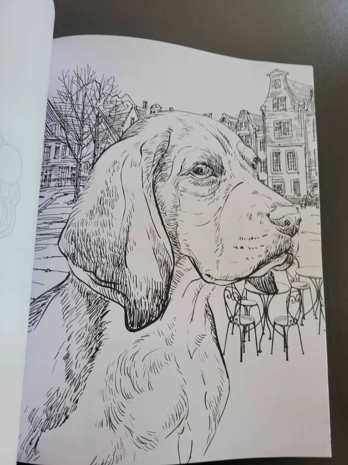 DOGS by Colouring Heaven – Adult Coloring Book – A Meditative Art Therapy Book