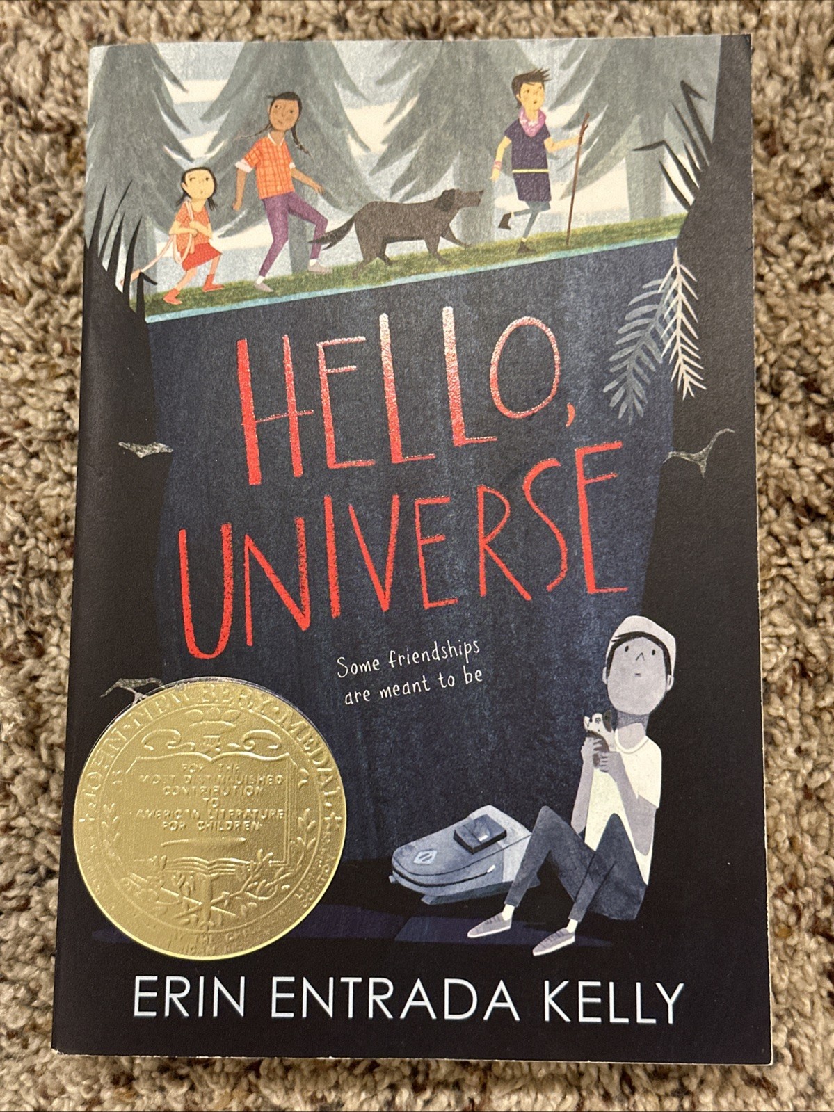 Hello, Universe : A Newbery Award Winner by Erin Entrada Kelly (2020, Trade…