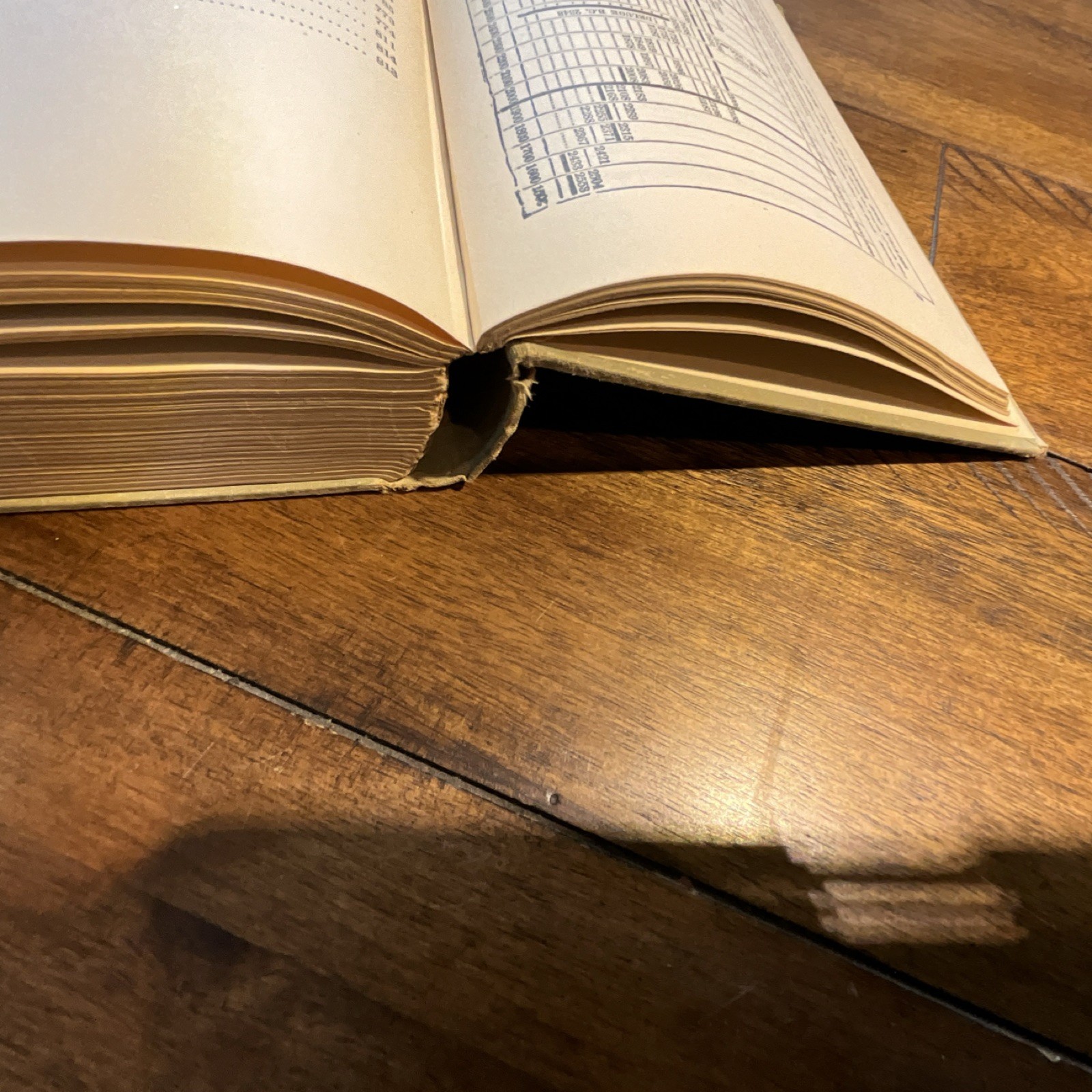 Bible Dictionary Teacher’s Edition by Smith & Peloubet, Winston, 822 Pages