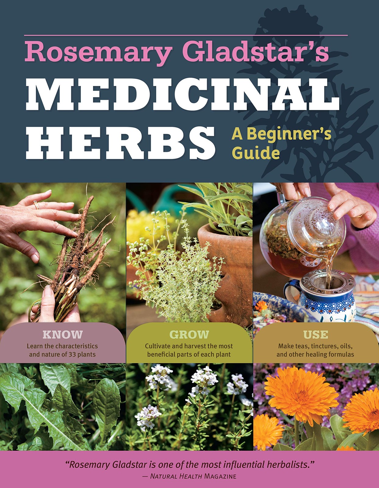 Rosemary Gladstar’s Medicinal Herbs: A Beginner’s Guide: 33 Healing Herbs to …
