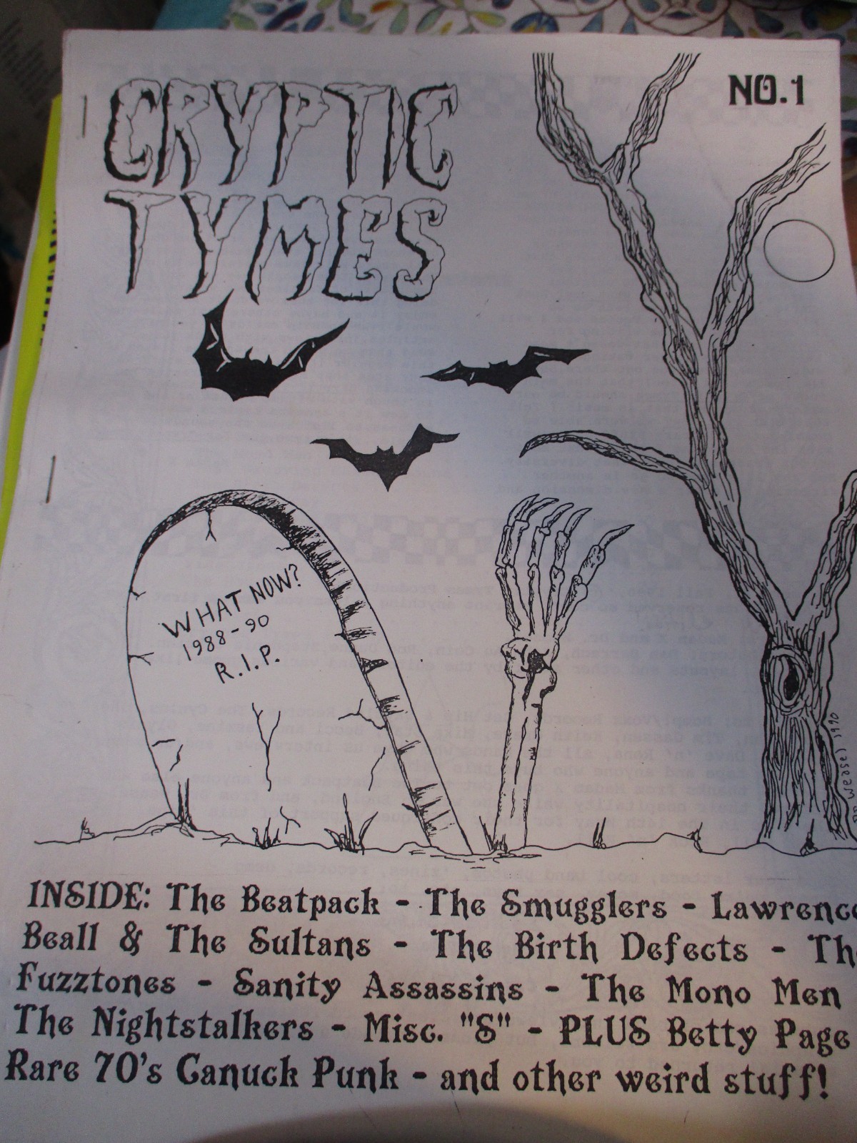 1990 CRYPTIC TIMES #1 Psych Garage Fanzine 44 Pages Canada VG+