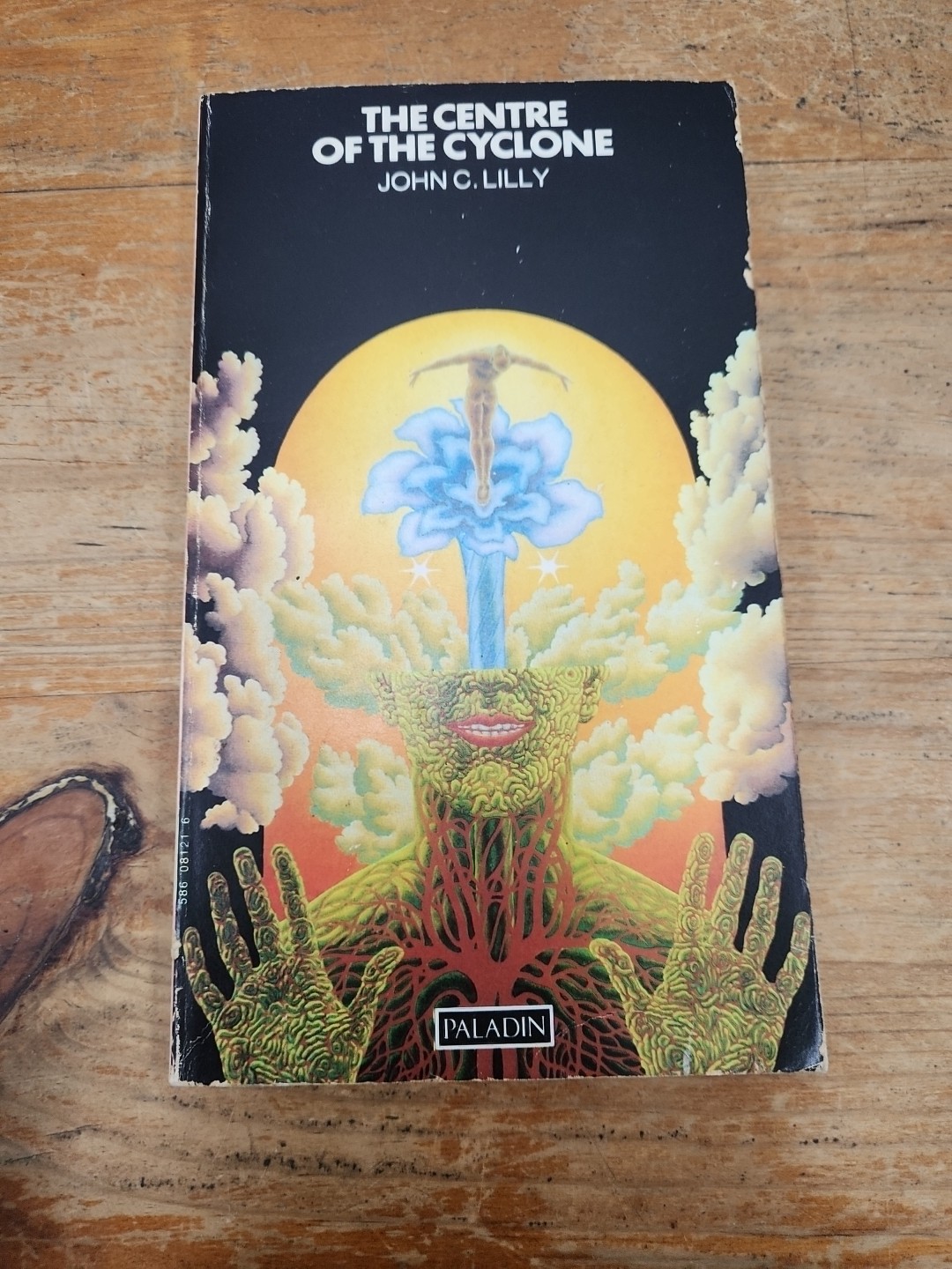 CENTRE OF THE CYCLONE by John C Lilly Paperback