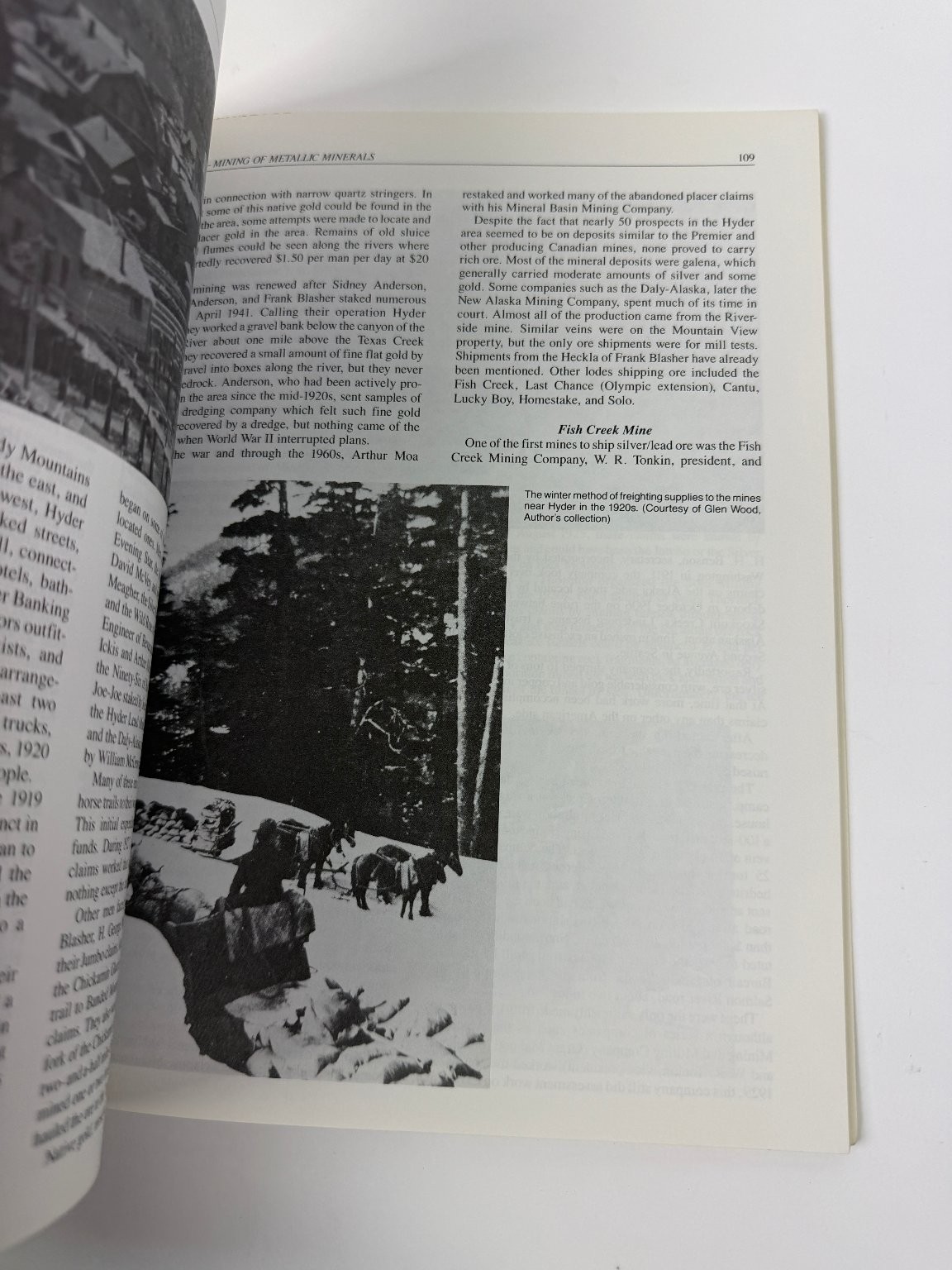 Fortunes from the Earth Patricia Roppel 1991 Alaska Mining History Minerals
