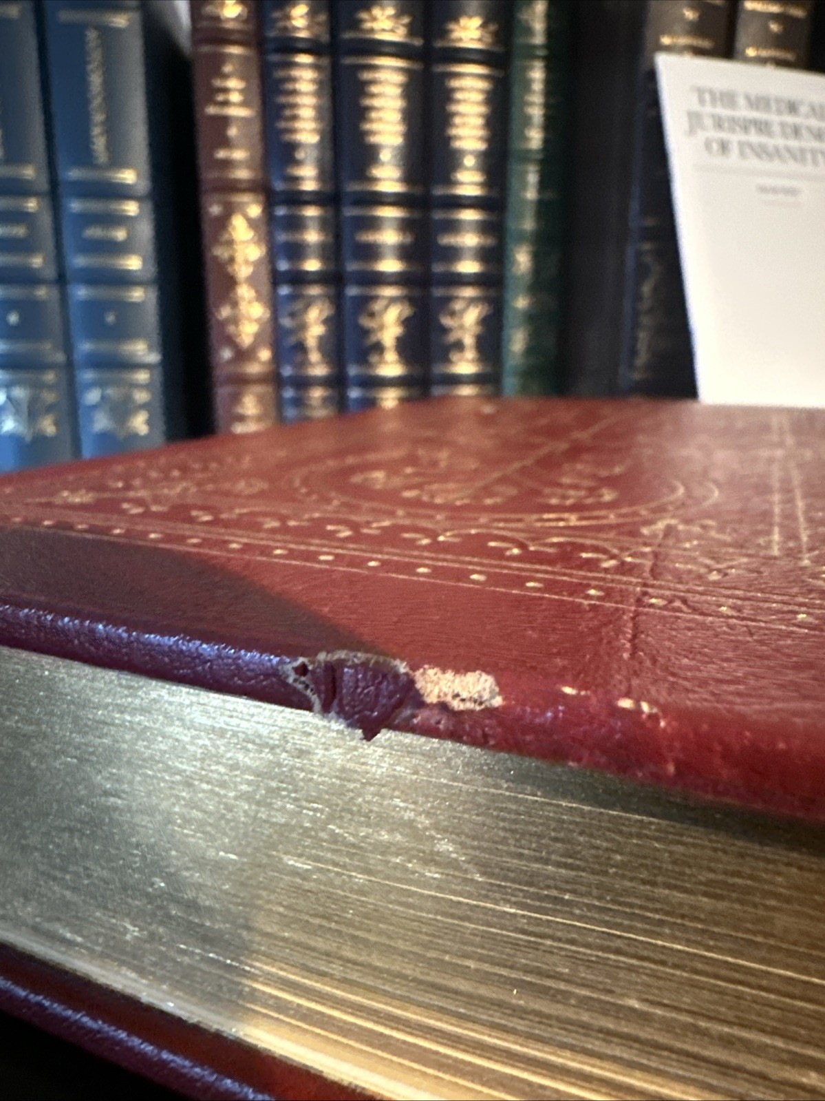 Treatise Medical Jurisprudence Of Insanity RAY Classics of Medicine Leather book