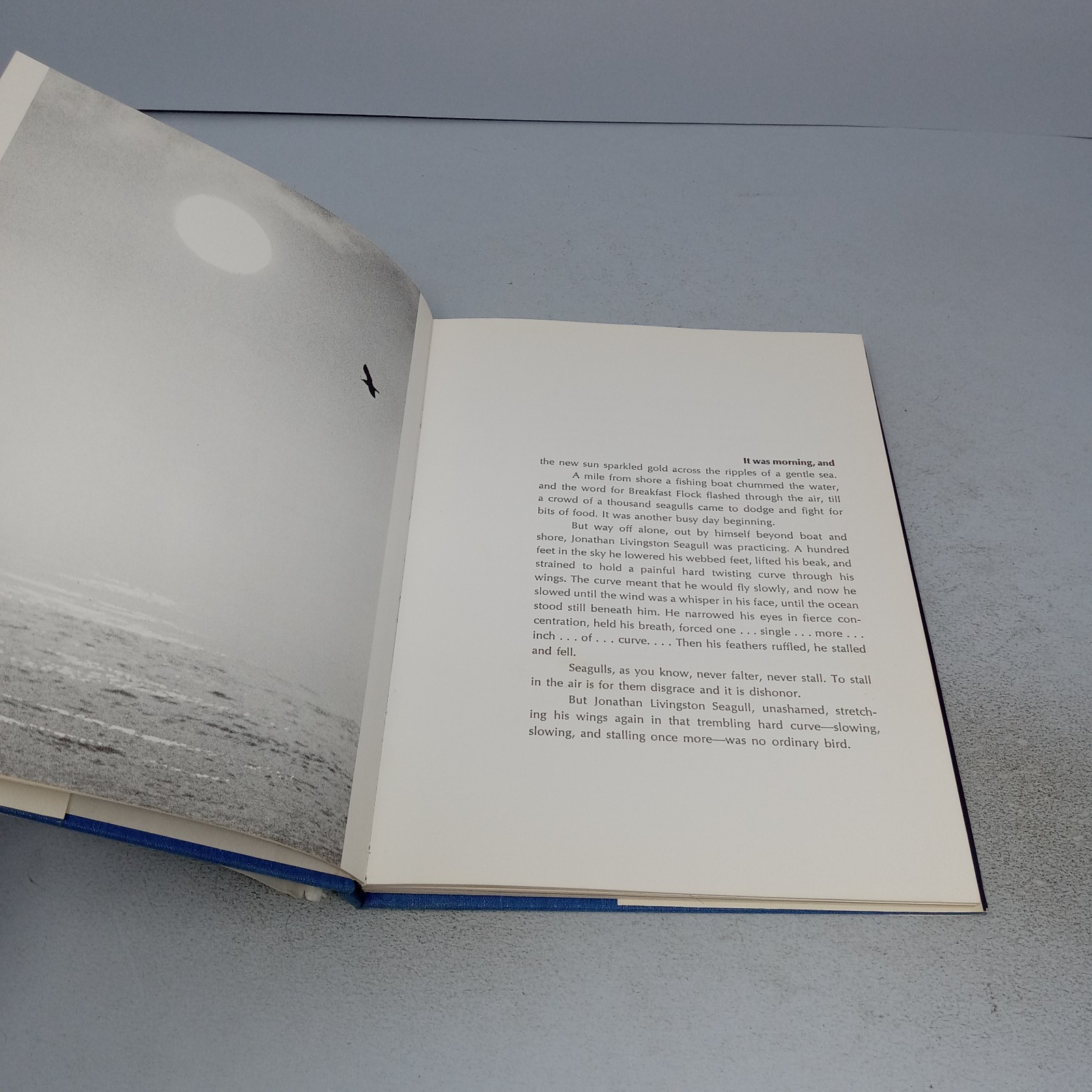 Jonathan Livingston Seagull 1970 The Macmillan Company Hardcover by Richard Bach