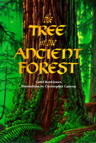 The Tree in the Ancient Forest – Paperback By Carol Reed-Jones – GOOD