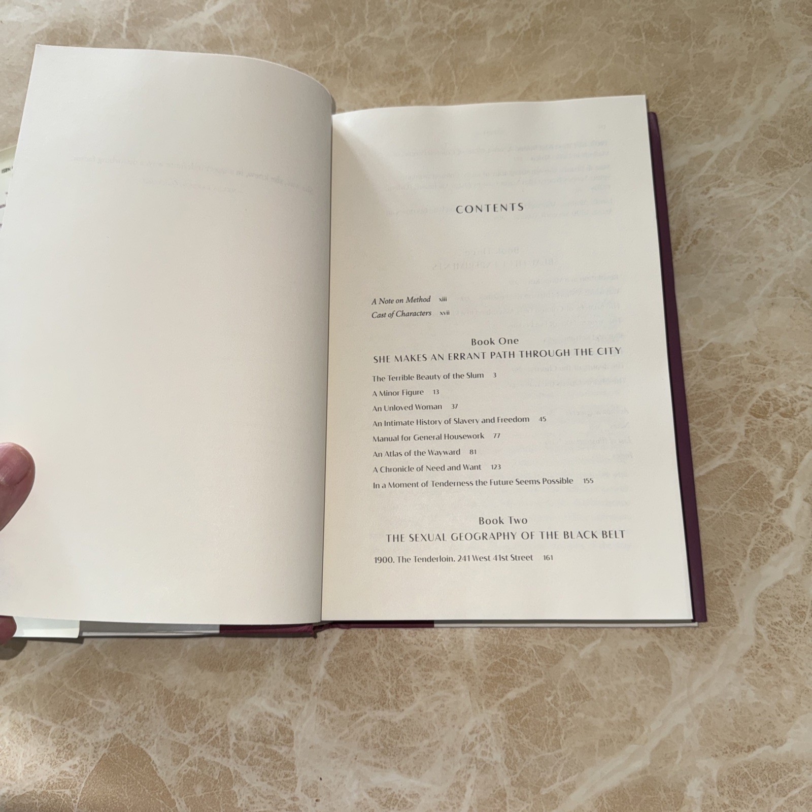 Wayward Lives, Beautiful Experiments : Intimate Histories of Social Upheaval