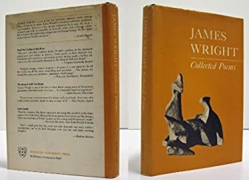 Collected Poems Library Binding James Arlington Wright
